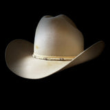 Bone and Silver Beaded Band