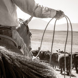 Through a Cowboys Rope